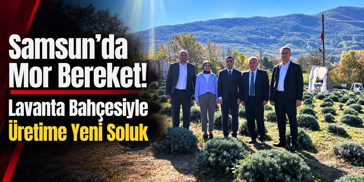 Samsun’da Mor Bereket! Lavanta Bahçesiyle Üretime Yeni Soluk