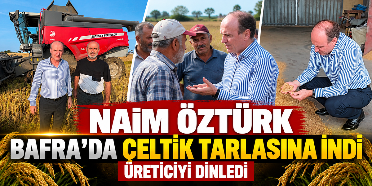 Naim Öztürk Bafra’da Çeltik Tarlasına İndi Üreticiyi Dinledi