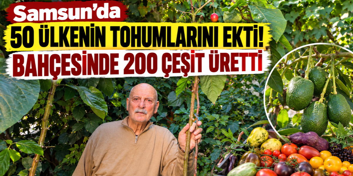 Samsun’da 50 Ülkenin Tohumlarını Ekti! Bahçesinde 200 Çeşit Üretti