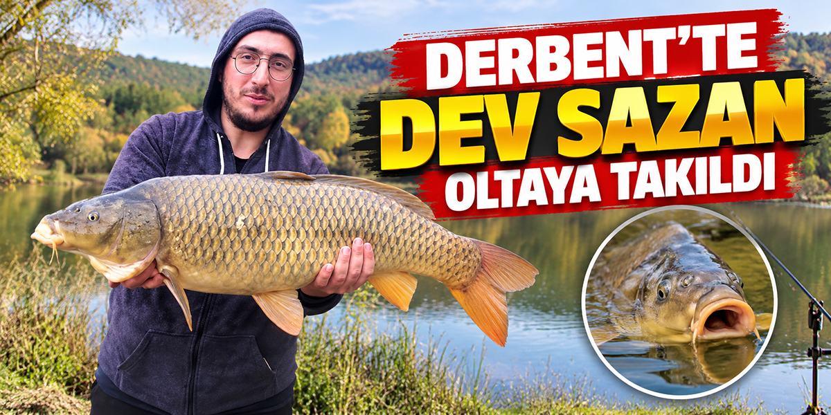 Derbent’te Dev Sazan Oltaya Takıldı