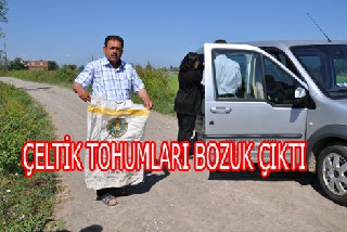 BAFRA DA TİGEMİN VERDİĞİ  TOHUMLARI BOZUK ÇIKTI