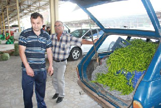 TURFANDA SEBZELER HALDE YERİNİ ALDI