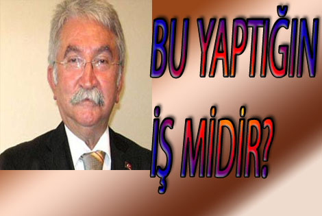 BU İŞMİDİR YANİ