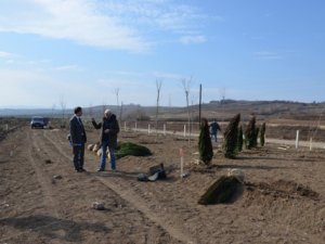 BAFRA’DA KARADENİZ’İN EN BÜYÜK ARBORETUM ÇALIŞMALARI