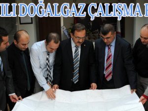 2014 YILI DOĞALGAZ ÇALIŞMA PROGRAMI