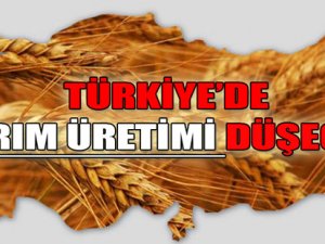 TÜRKİYE'DE TARIM ÜRETİMİ DÜŞECEK