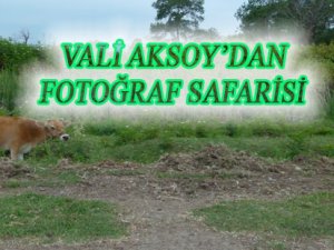 VALİ AKSOY’DAN FOTO SAFARİ