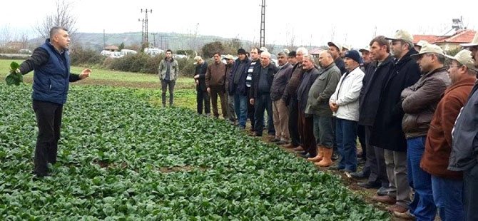 BARADA TARLA GÜNLERİ