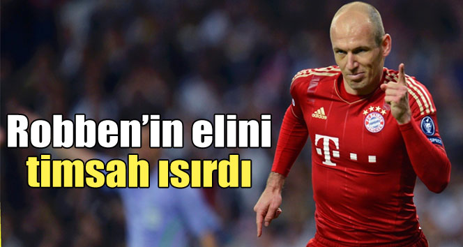 ROBENİ TİMSAH ISIRDI
