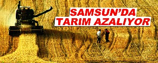 Samsun'da tarım alanı azalıyor,üretim artıyor