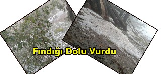 FINDIĞI DOLU VURDU