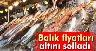 Balık fiyatları altını solladı