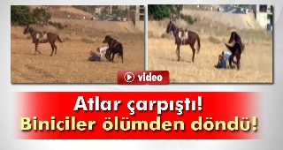 Atlar çarpıştı: Biniciler ölümden döndü!