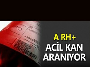 KAN ARANIYOR