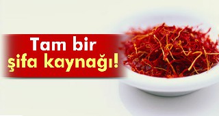 Tedavici edici baharat: Safran