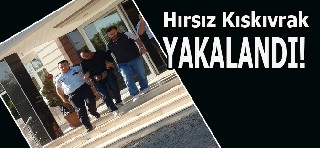 Hırsız Kıskıvrak Yakalandı.