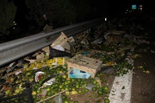 Sebze Ve Meyve Yüklü Tır Devrilince Otoban Bostana Döndü