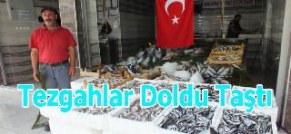 BAFRA'DA BALIK ÇEŞİTLERİ BOLLAŞTI