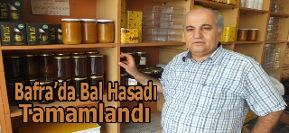 BAFRA’DA BAL HASADI TAMAMLANDI