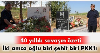 Aktütün şehidi Eyyüp ile PKK’lı Habeş yan yana yatıyor