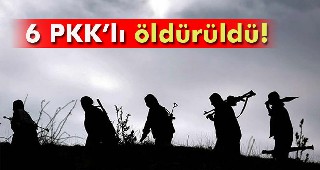PKK'ya bir darbe daha