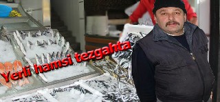 Yerli hamsi tezgahta yerini aldı