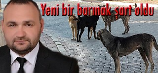 Aytünür;Yeni bir barınak şart oldu