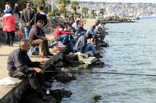 Güneş Yüzünü Gösterdi, Sahiller Hareketlendi