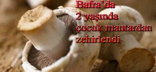 Bafra'da 2 Yaşındaki çocuk Mantardan Zehirlendi