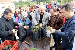 Gazi Devlet Hastanesi Çalışanlarından Fidan Dikim Etkinliği