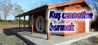 Kuş cennetine ilgi her geçen gün dahada artıyor