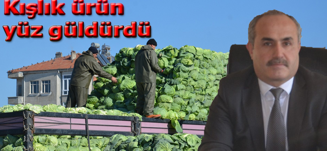 Bafralı üreticinin yüzü güldü