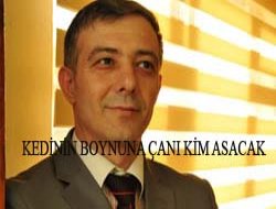 ADNAN HAZIR YAZDI