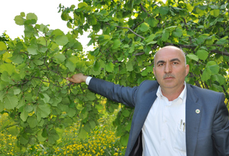 Emanete verilen fındıklar geri istenmeli