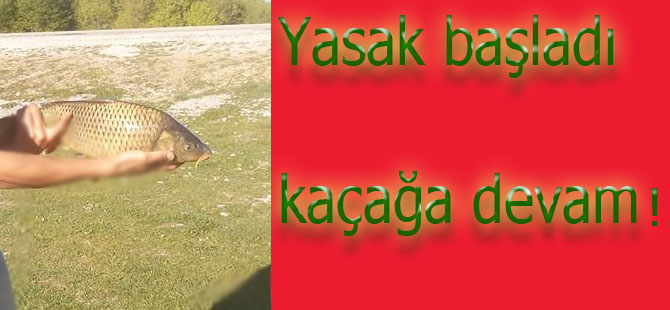 Yasak geldi Kaçak avlanma sezonu başladı!