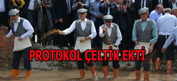 Protokol çeltik ekti