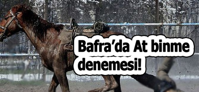 Sakın her ''Ata'' binmeyi denemeyin!