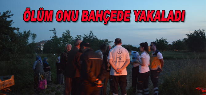 Bafra`da yaşlı kadın bahçede ölü bulundu