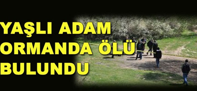 Yaşlı adam ormanda ölü bulundu