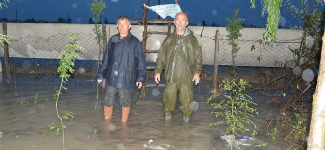 Bafra'da yağmurdan sera telef oldu