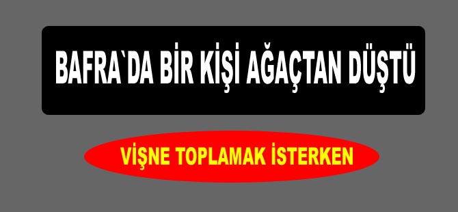 Ağaçtan düşüp yaralandı