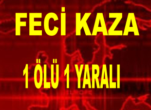 Feci kaza da bir kişi hayatını kaybetti