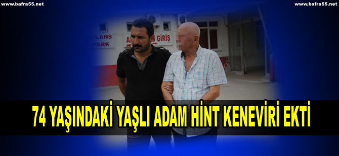 74 yaşında hint keneviri ekti