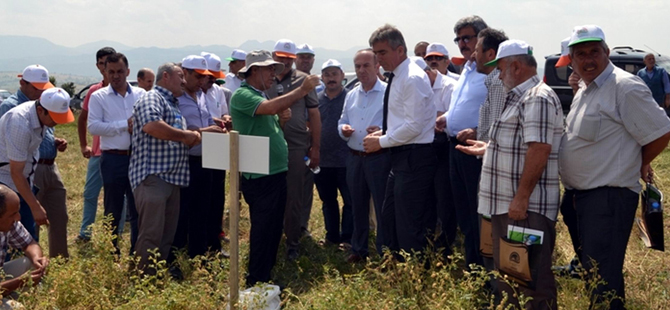 Vezirköprü’de nohut tarla günü düzenlendi