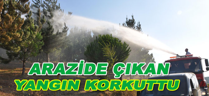 Arazide çıkan yangın korkuttu