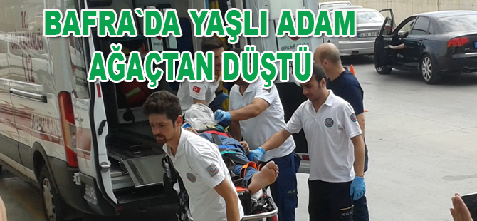 Yaşlı adam ağaçtan düştü