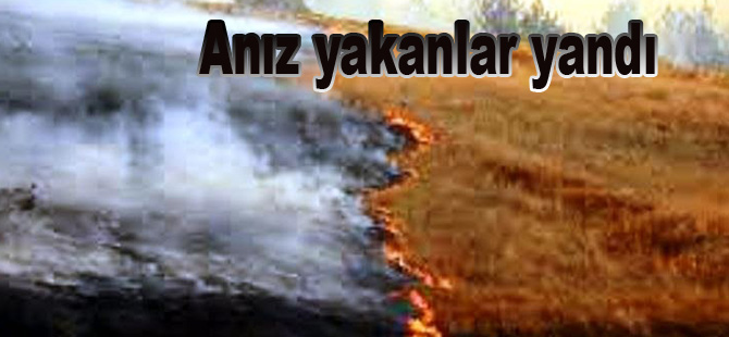 Anız yakanlar yandı