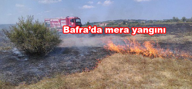 Bafra'da mera yangını