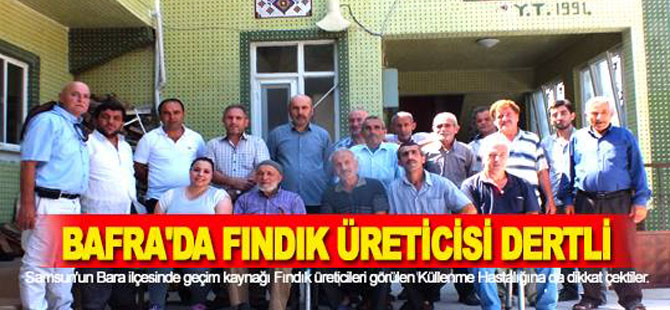 BAFRA'DA FINDIK ÜRETİCİSİ DERTLİ