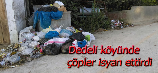 Toplanmayan çöpler çevreyi kokuya boğdu